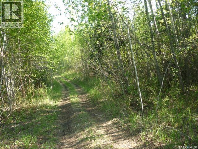 5 Smits Avenue, Codette, Saskatchewan  S0E 0P0 - Photo 11 - SK043185