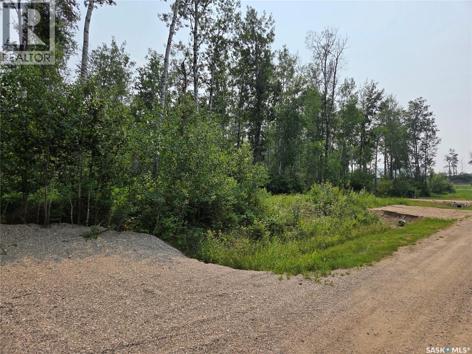 5 Smits Avenue, Codette, Saskatchewan  S0E 0P0 - Photo 3 - SK043185