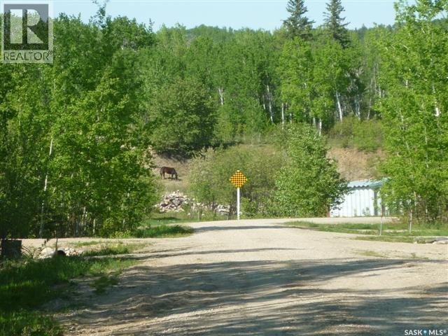 5 Smits Avenue, Codette, Saskatchewan  S0E 0P0 - Photo 6 - SK043185