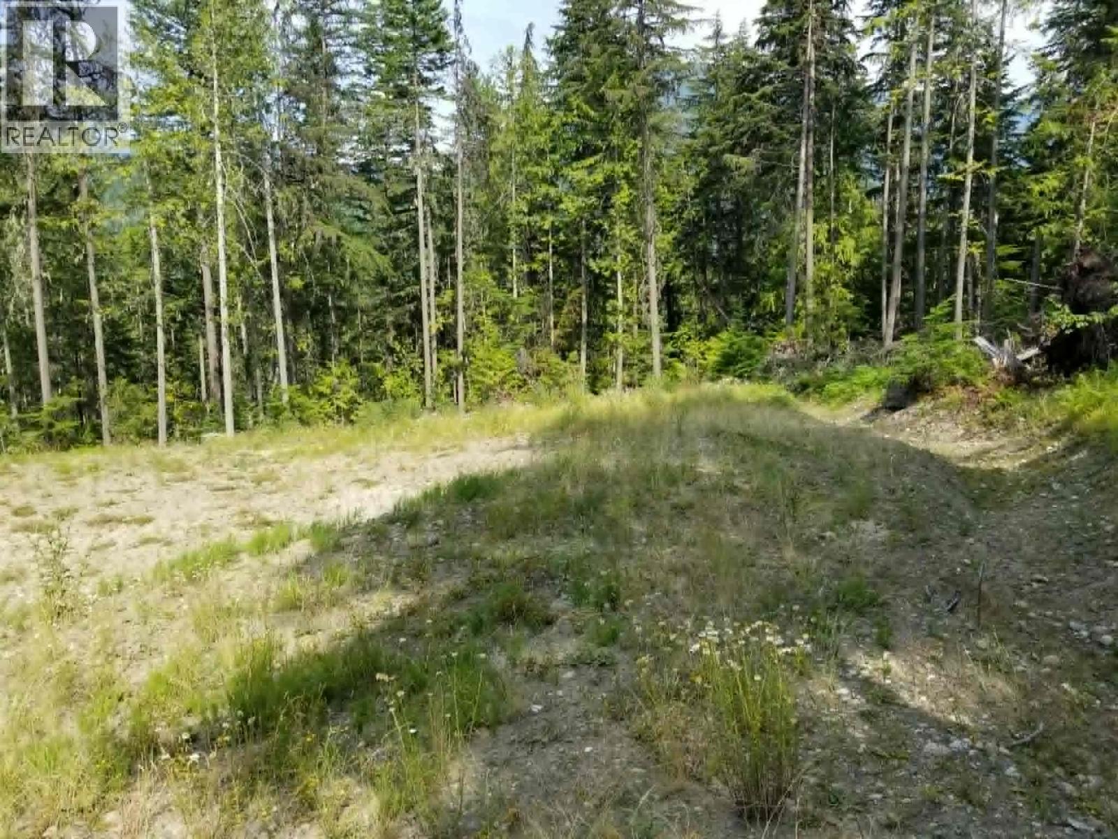 Lot 1 Brouse Loop Road, Nakusp, British Columbia V0G 1R1 - Photo 2 - 10366760