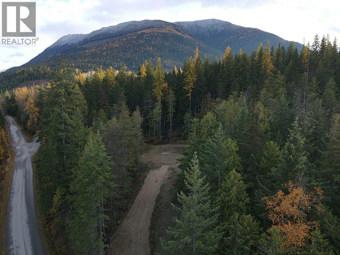 Lot 1 Brouse Loop Road, Nakusp, British Columbia V0G 1R1 - Photo 8 - 10366760