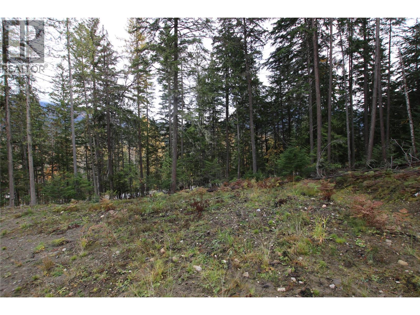 Lot 1 Brouse Loop Road, Nakusp, British Columbia V0G 1R1 - Photo 21 - 10366760