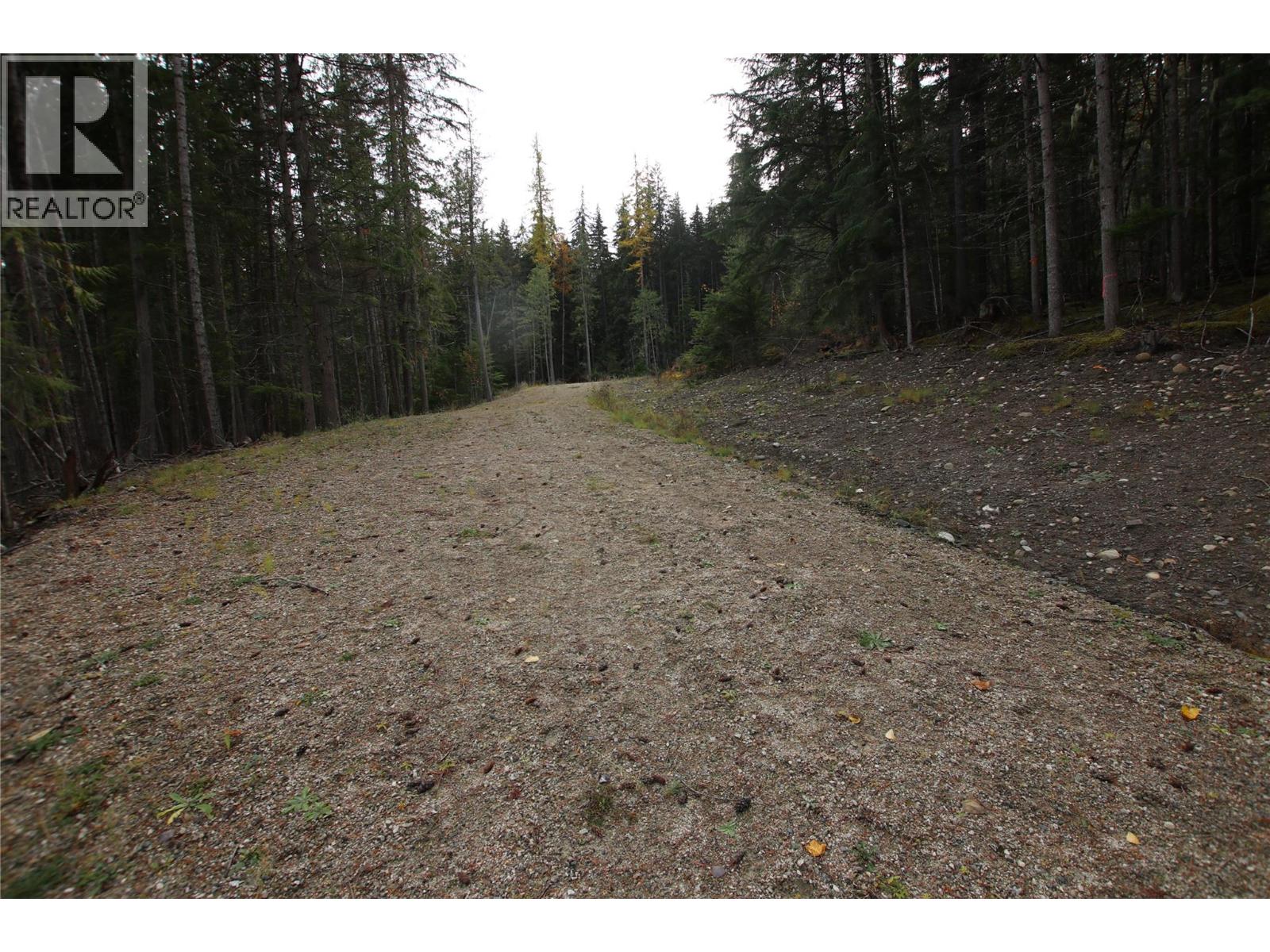 Lot 1 Brouse Loop Road, Nakusp, British Columbia V0G 1R1 - Photo 15 - 10366760