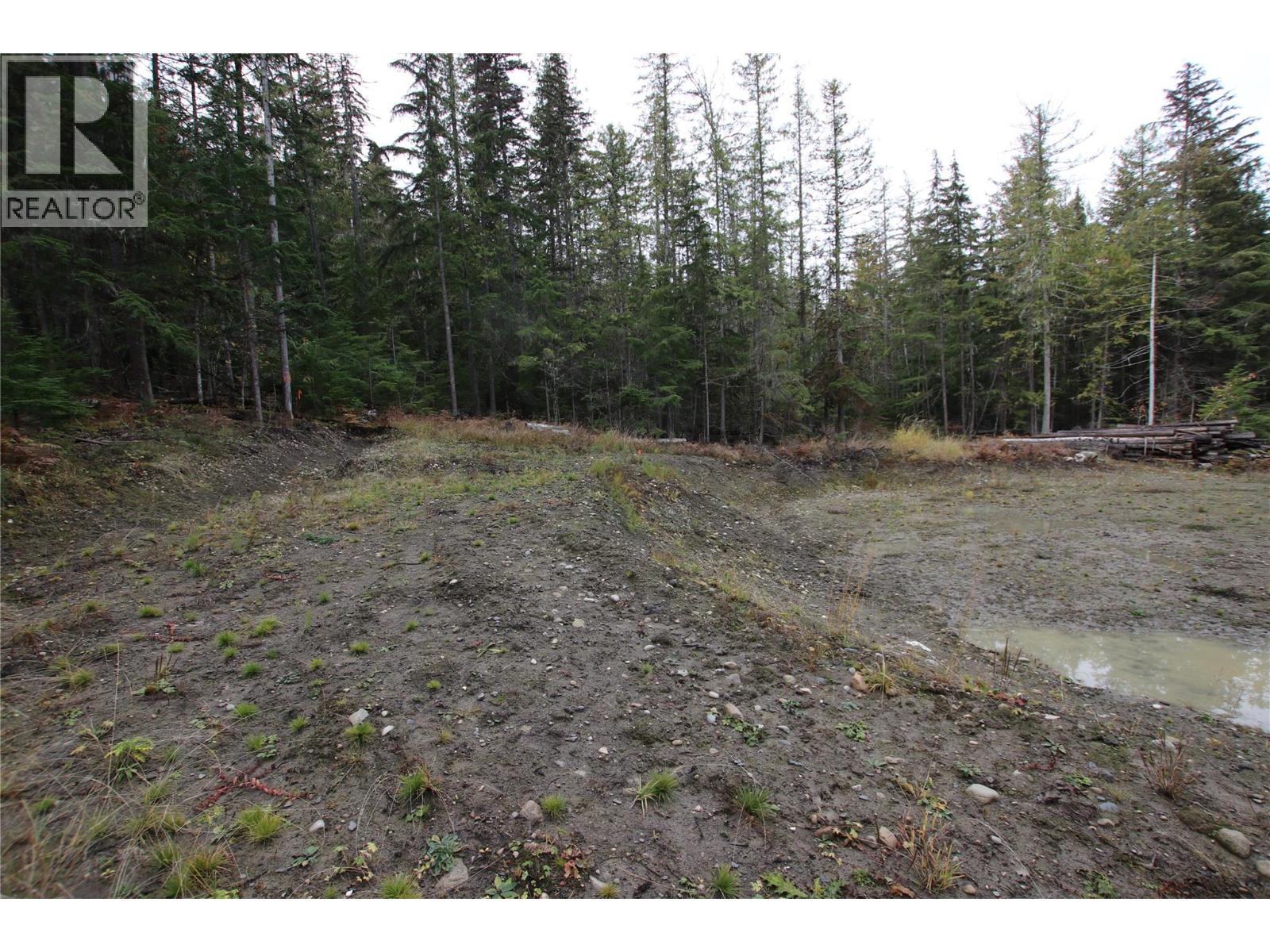 Lot 1 Brouse Loop Road, Nakusp, British Columbia V0G 1R1 - Photo 22 - 10366760