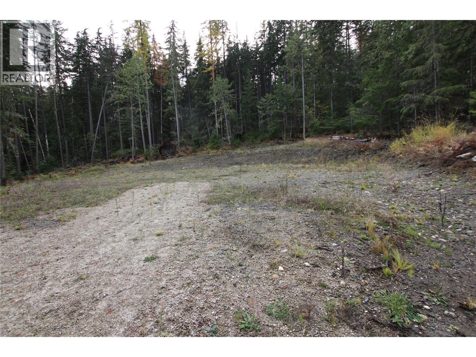 Lot 1 Brouse Loop Road, Nakusp, British Columbia V0G 1R1 - Photo 11 - 10366760