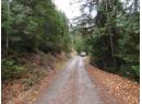 144 Acres South Fork Road, Cherryville, BC V0E 2G3
