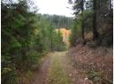 144 Acres South Fork Road, Cherryville, BC V0E 2G3