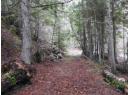 144 Acres South Fork Road, Cherryville, BC V0E 2G3
