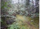 144 Acres South Fork Road, Cherryville, BC V0E 2G3