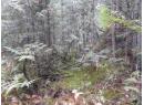 144 Acres South Fork Road, Cherryville, BC V0E 2G3