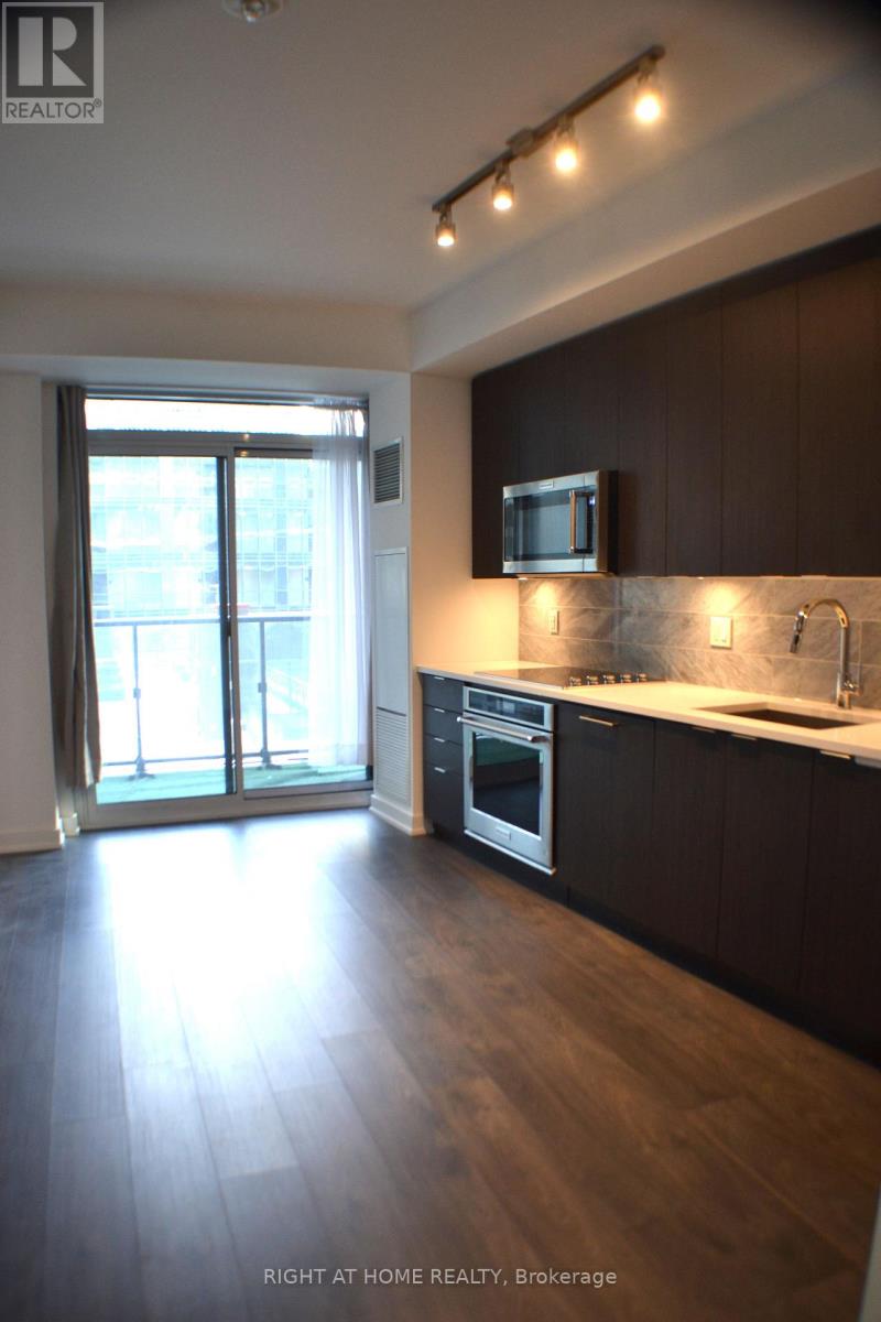 511 - 38 Iannuzzi Street, Toronto (Waterfront Communities), Ontario  M5V 0S2 - Photo 8 - C13591088
