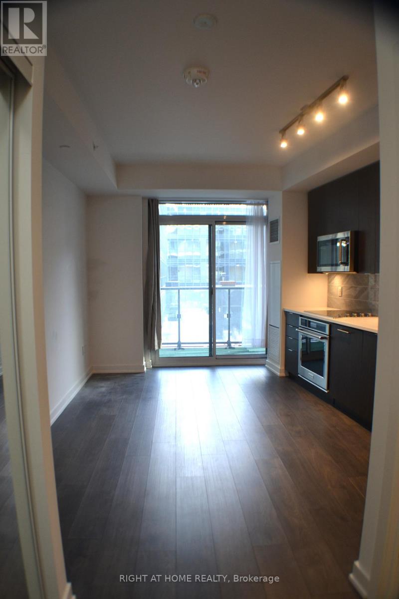 511 - 38 Iannuzzi Street, Toronto (Waterfront Communities), Ontario  M5V 0S2 - Photo 9 - C13591088