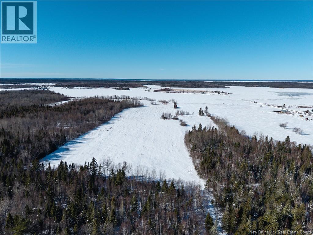 Lot 2022-1 Route 117, Black River Bridge, New Brunswick  E1M 5M9 - Photo 10 - NB133686