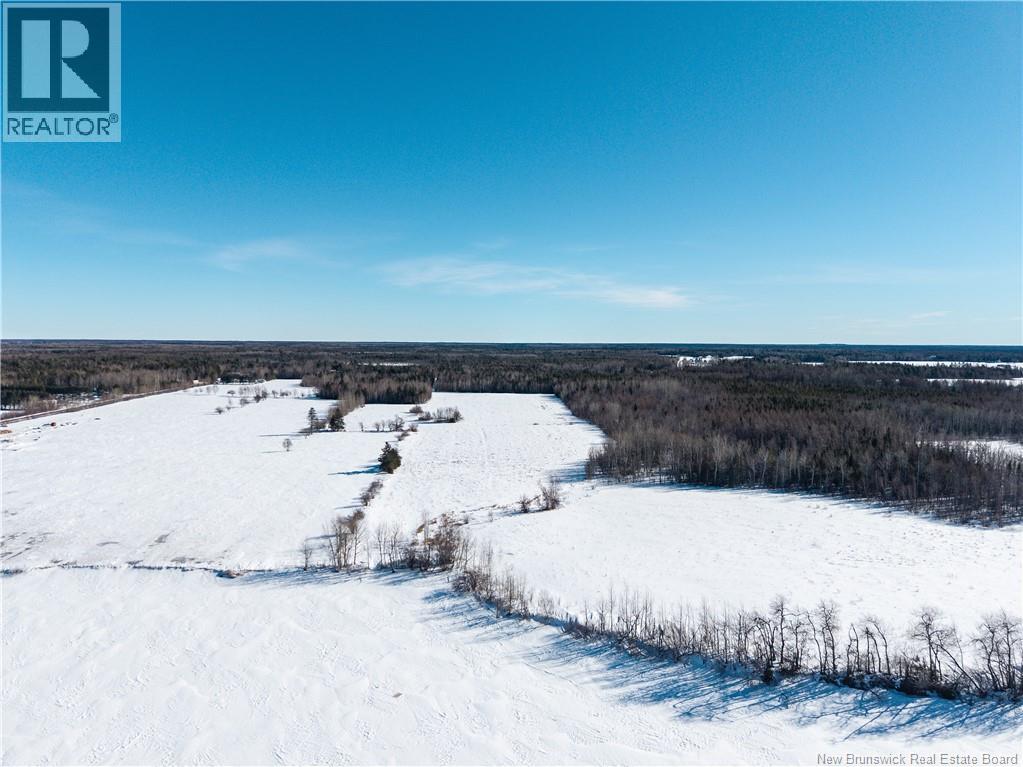Lot 2022-1 Route 117, Black River Bridge, New Brunswick  E1M 5M9 - Photo 12 - NB133686