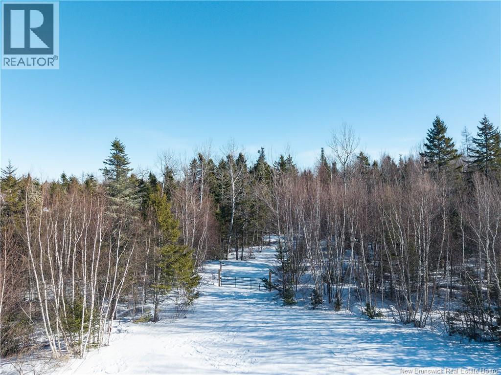 Lot 2022-1 Route 117, Black River Bridge, New Brunswick  E1M 5M9 - Photo 21 - NB133686