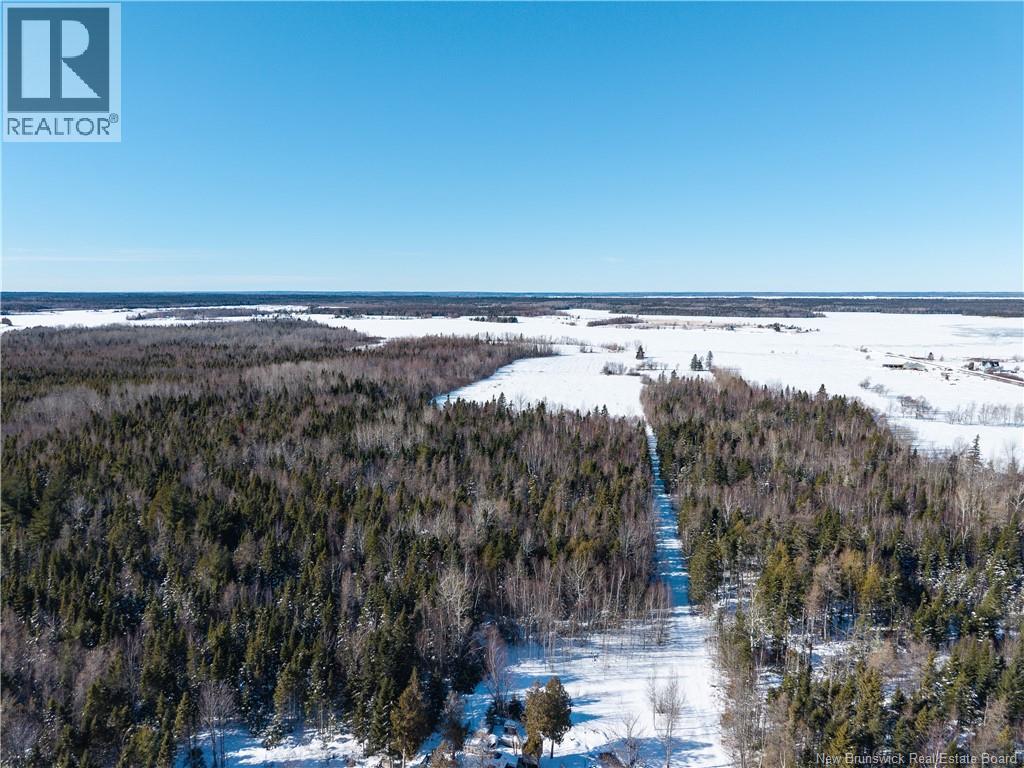 Lot 2022-1 Route 117, Black River Bridge, New Brunswick  E1M 5M9 - Photo 6 - NB133686