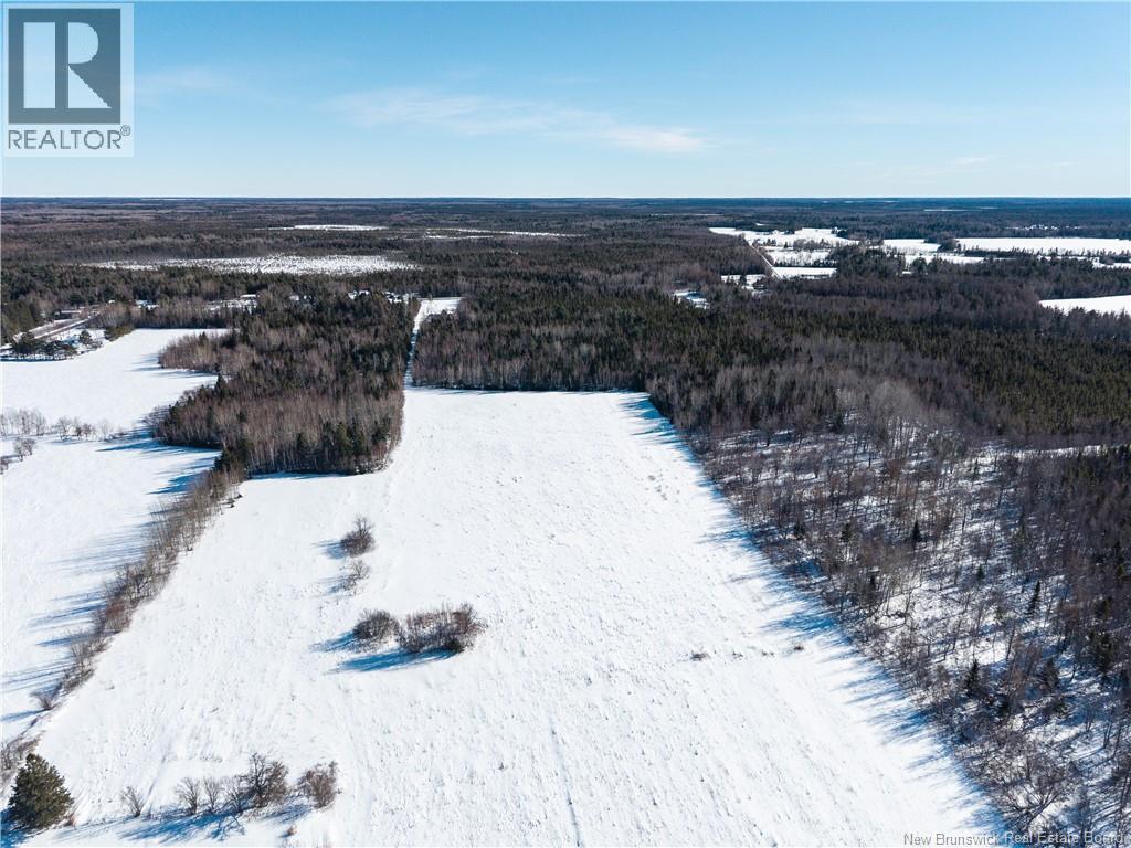 Lot 2022-1 Route 117, Black River Bridge, New Brunswick  E1M 5M9 - Photo 17 - NB133686