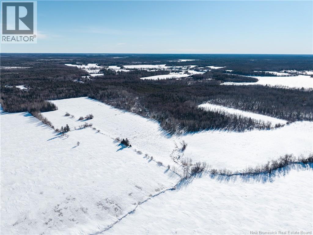 Lot 2022-1 Route 117, Black River Bridge, New Brunswick  E1M 5M9 - Photo 4 - NB133686