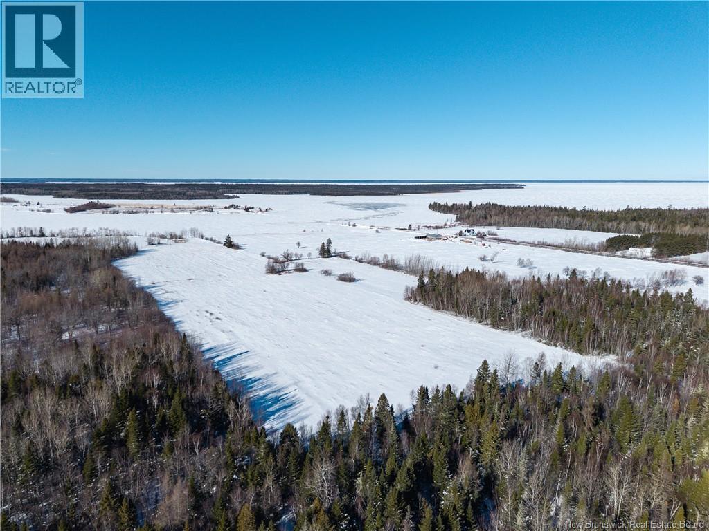 Lot 2022-1 Route 117, Black River Bridge, New Brunswick  E1M 5M9 - Photo 11 - NB133686