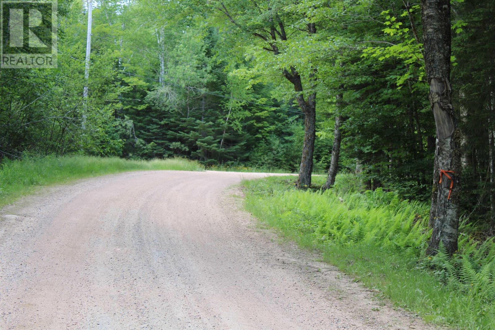 picture 31