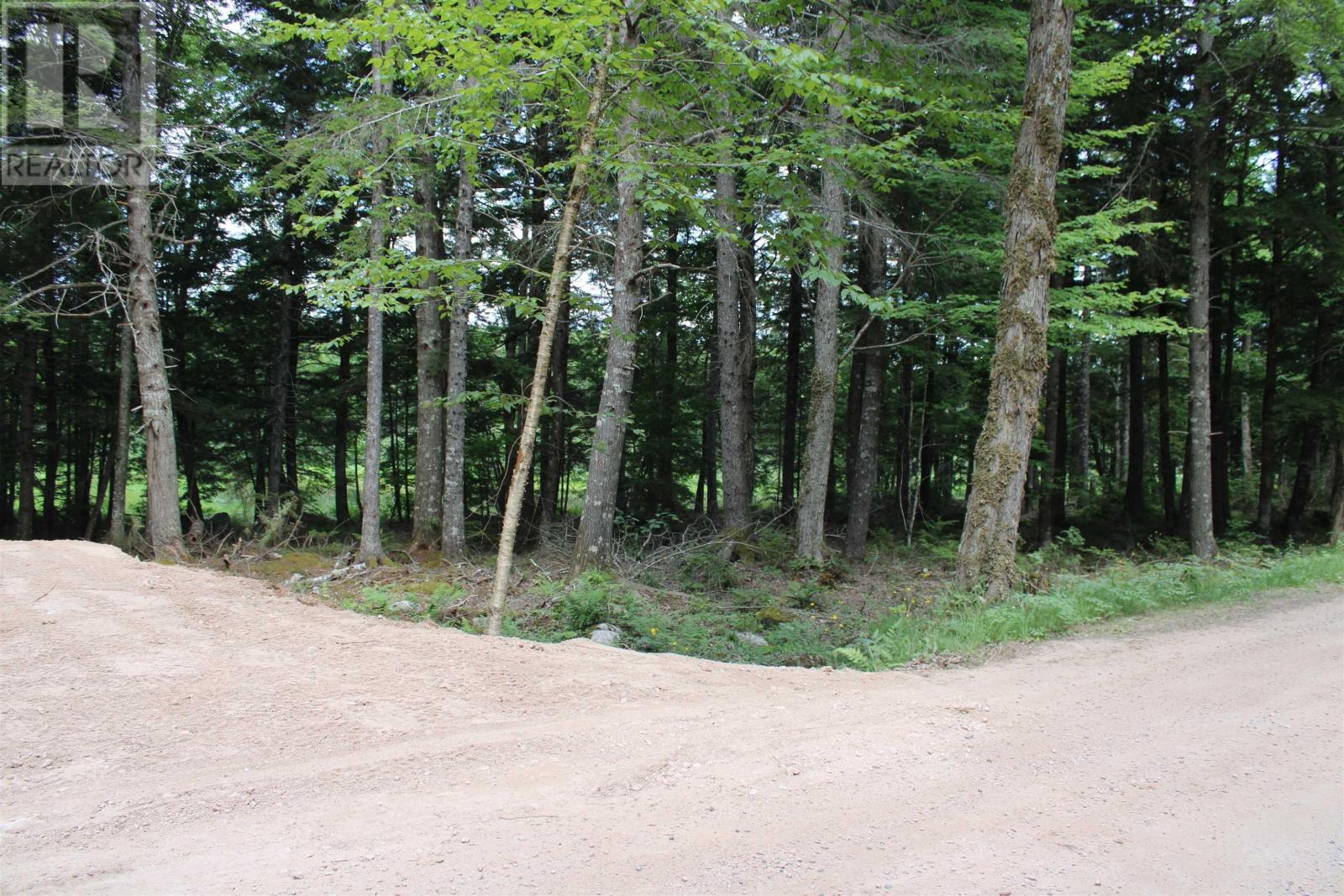 picture 37