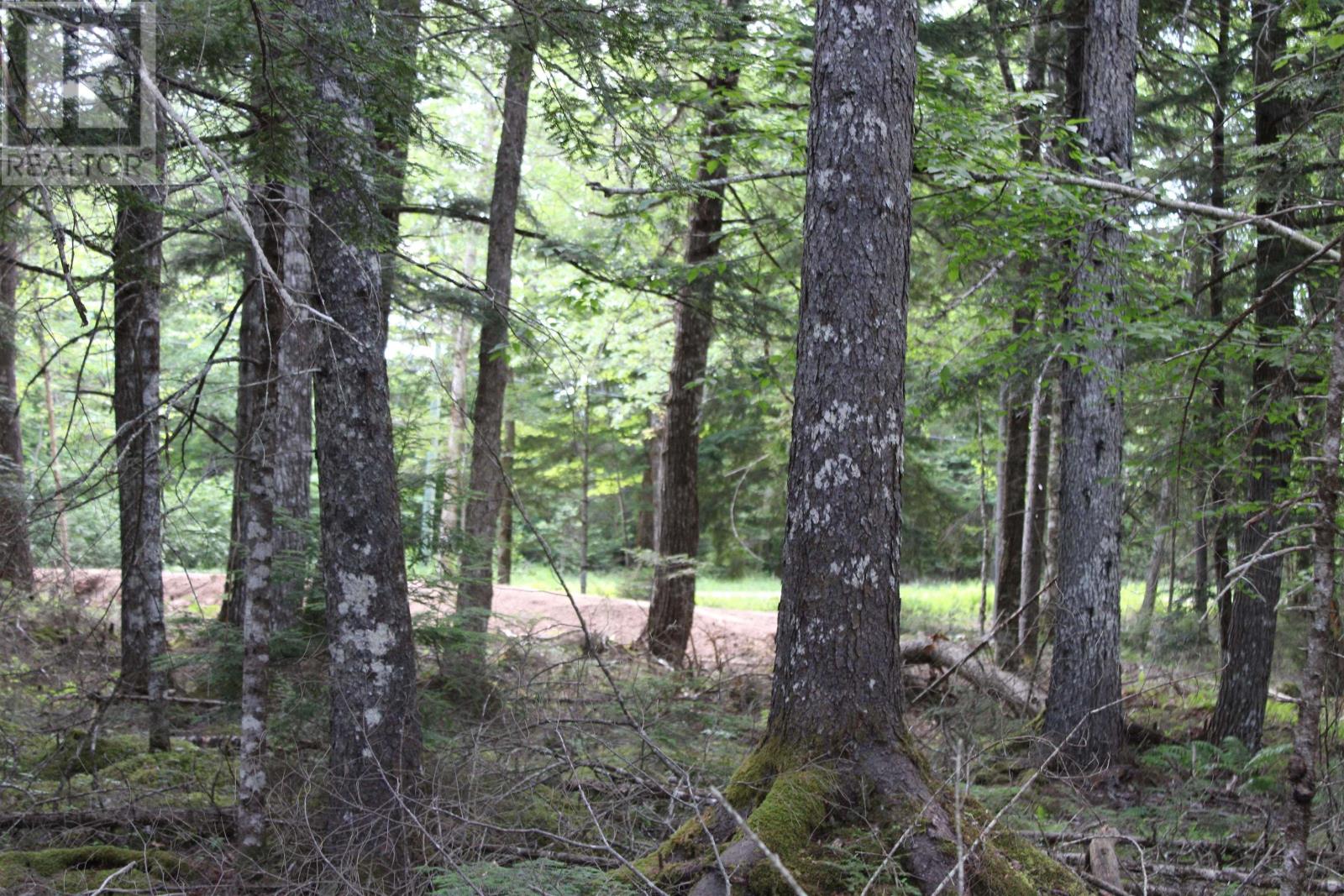 picture 29