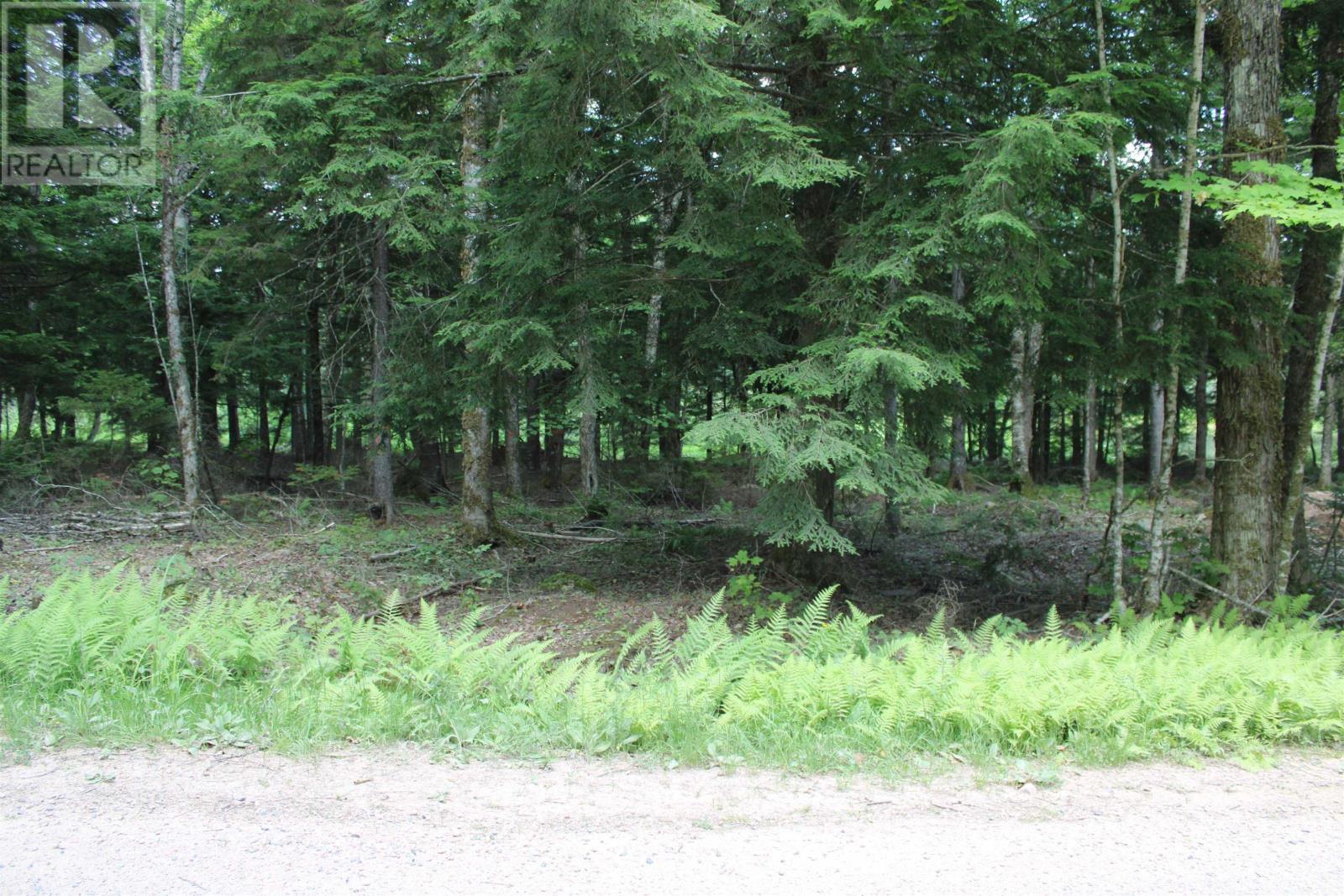 picture 32