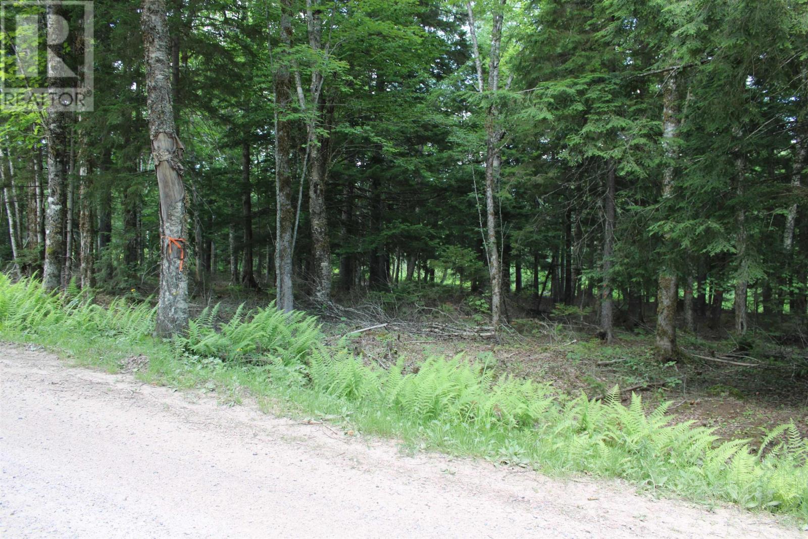 picture 33