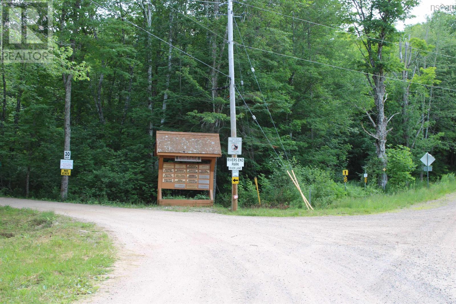 picture 38