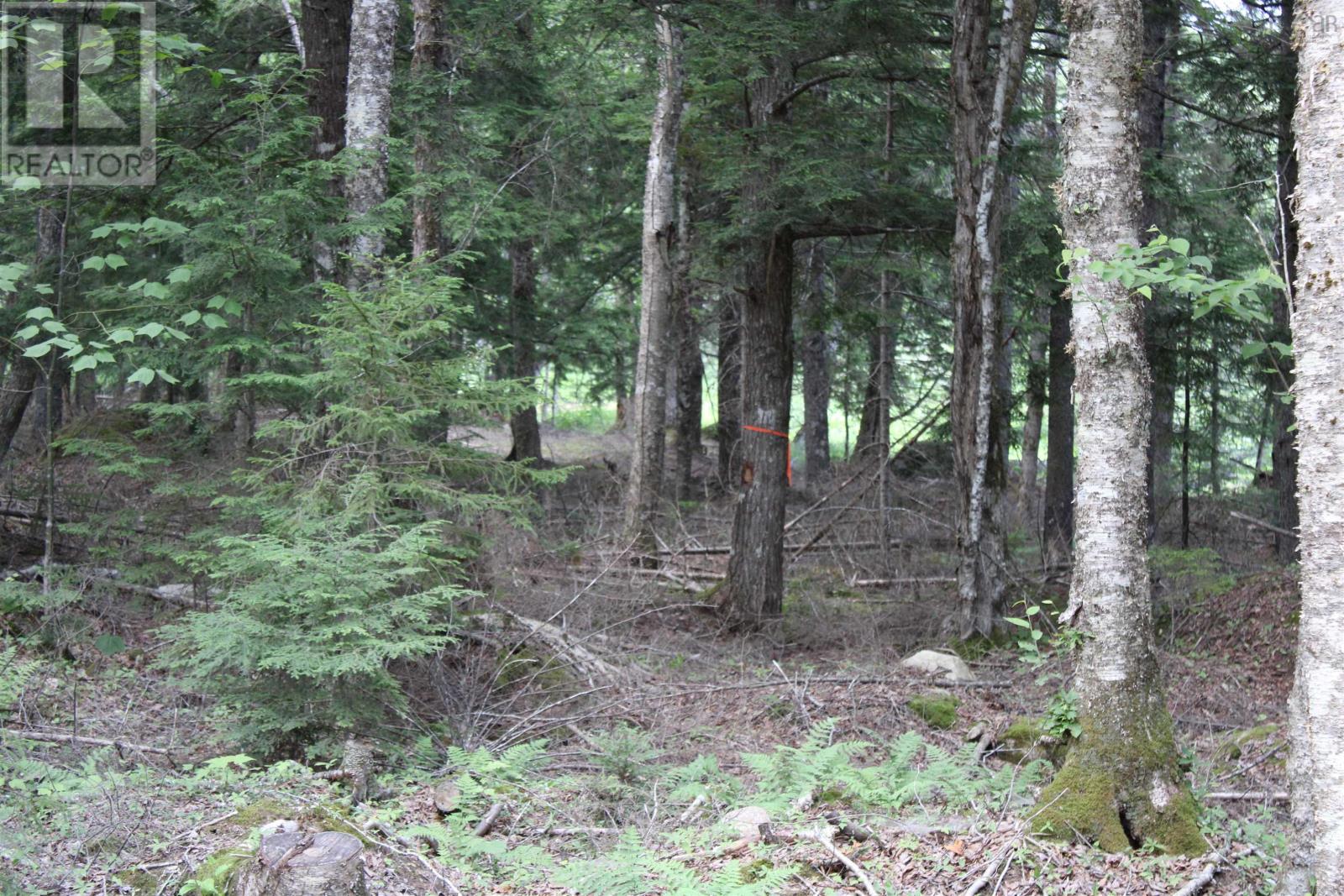 picture 30