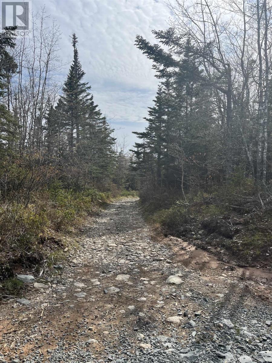 Lot 3 Old Mineville Road, Middle Porters Lake, Nova Scotia  B3K 1K9 - Photo 16 - 202524148