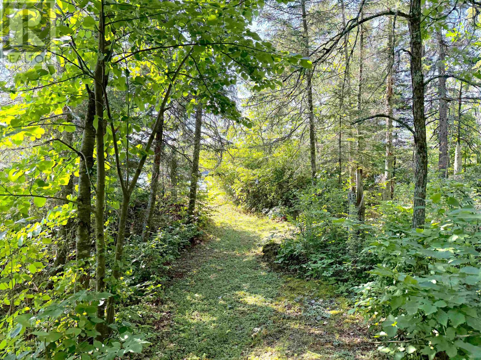 Part 3 Tranquil Island, Kenora, Ontario  P0X 1C0 - Photo 5 - TB2602053