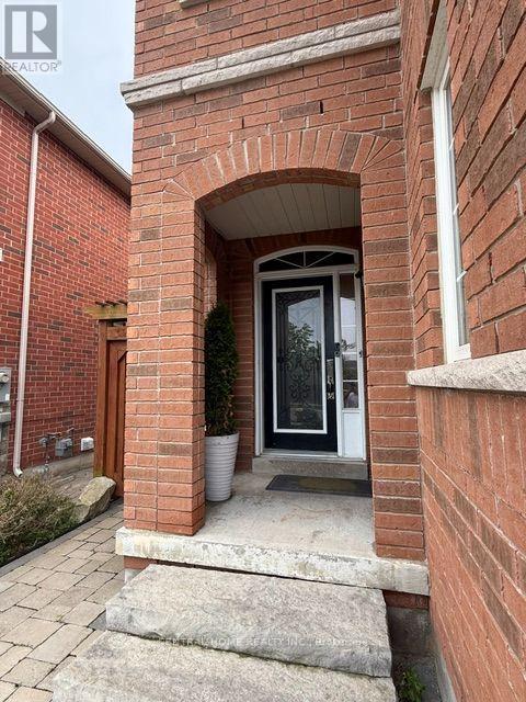 29 Aikenhead Avenue, Richmond Hill, Ontario  L4S 0A8 - Photo 25 - N13569852