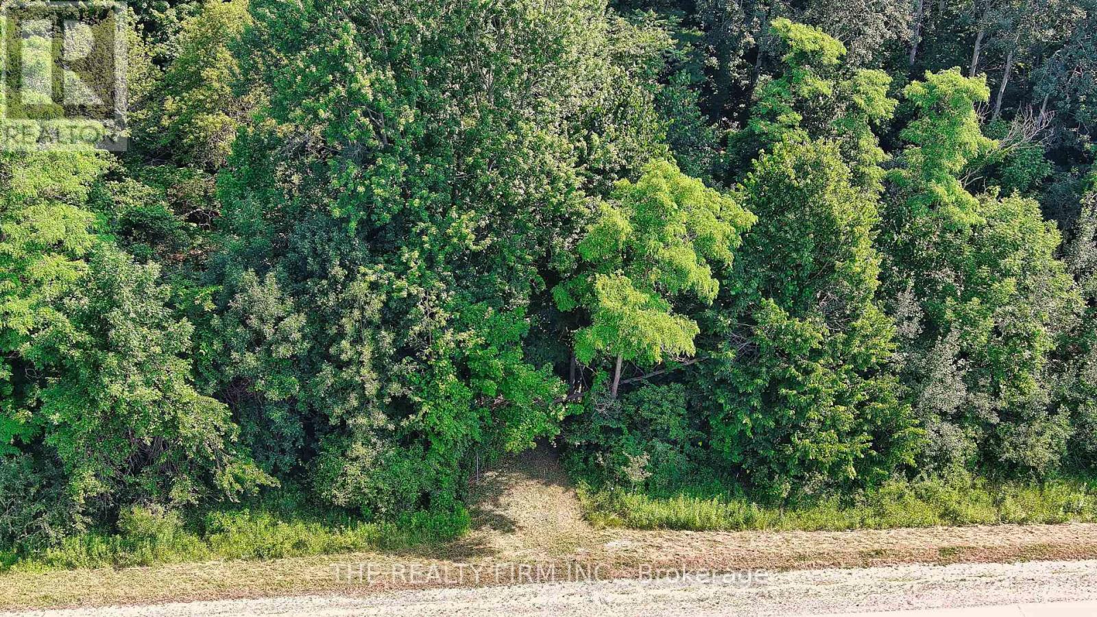 3210 Old Dexter Line, Central Elgin, Ontario  N0L 2H0 - Photo 4 - X13591612