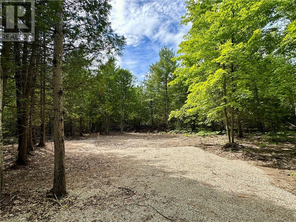 163r Checkerboard Lane, Gore Bay, Ontario  P0P 1K0 - Photo 4 - 2129331