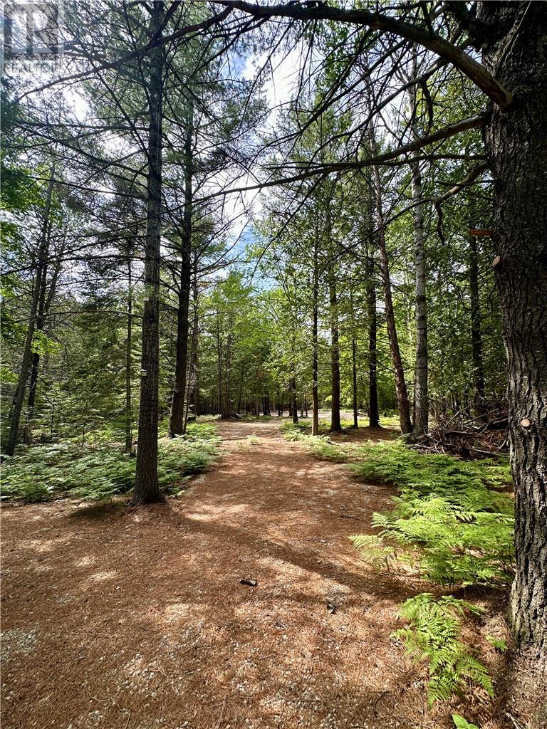 163r Checkerboard Lane, Gore Bay, Ontario  P0P 1K0 - Photo 8 - 2129331
