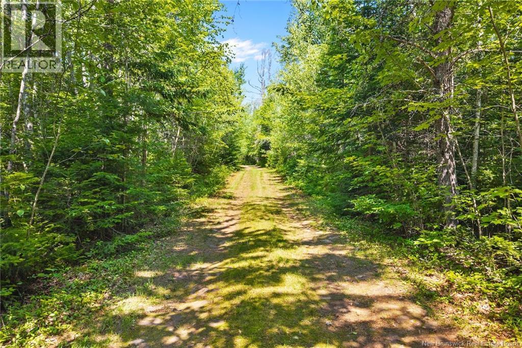Camp/lot Dufferin Road, Chipman, New Brunswick O0O 0O0 - Photo 10 - NB143587
