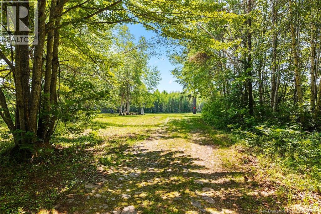 Camp/lot Dufferin Road, Chipman, New Brunswick O0O 0O0 - Photo 11 - NB143587
