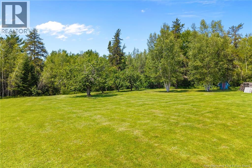 Camp/lot Dufferin Road, Chipman, New Brunswick O0O 0O0 - Photo 28 - NB143587