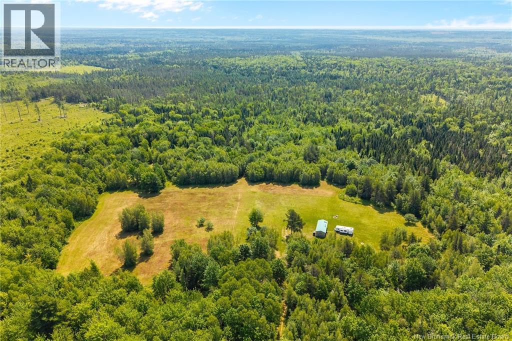Camp/lot Dufferin Road, Chipman, New Brunswick O0O 0O0 - Photo 33 - NB143587