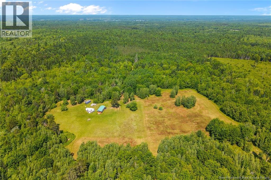 Camp/lot Dufferin Road, Chipman, New Brunswick O0O 0O0 - Photo 8 - NB143587