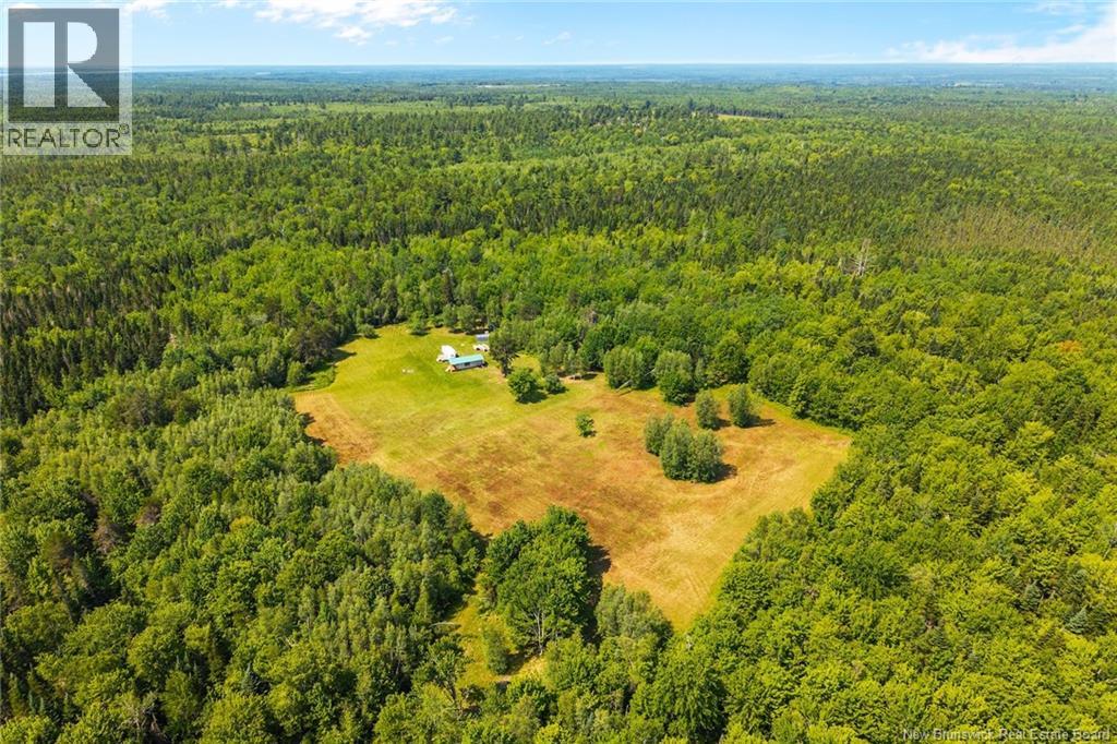 Camp/lot Dufferin Road, Chipman, New Brunswick O0O 0O0 - Photo 31 - NB143587