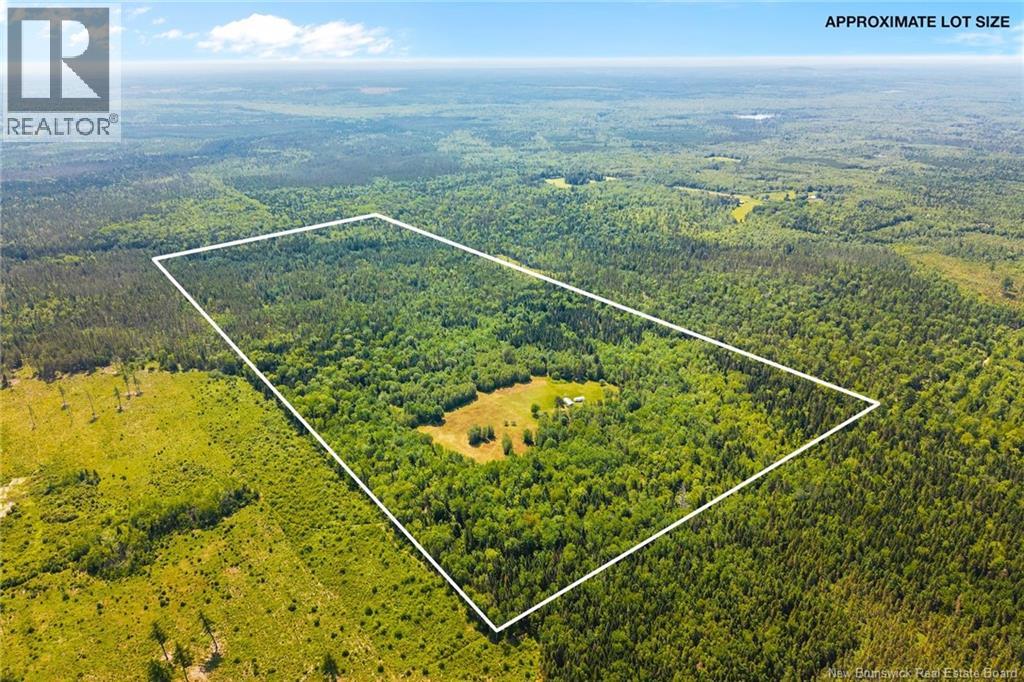Camp/lot Dufferin Road, Chipman, New Brunswick O0O 0O0 - Photo 35 - NB143587