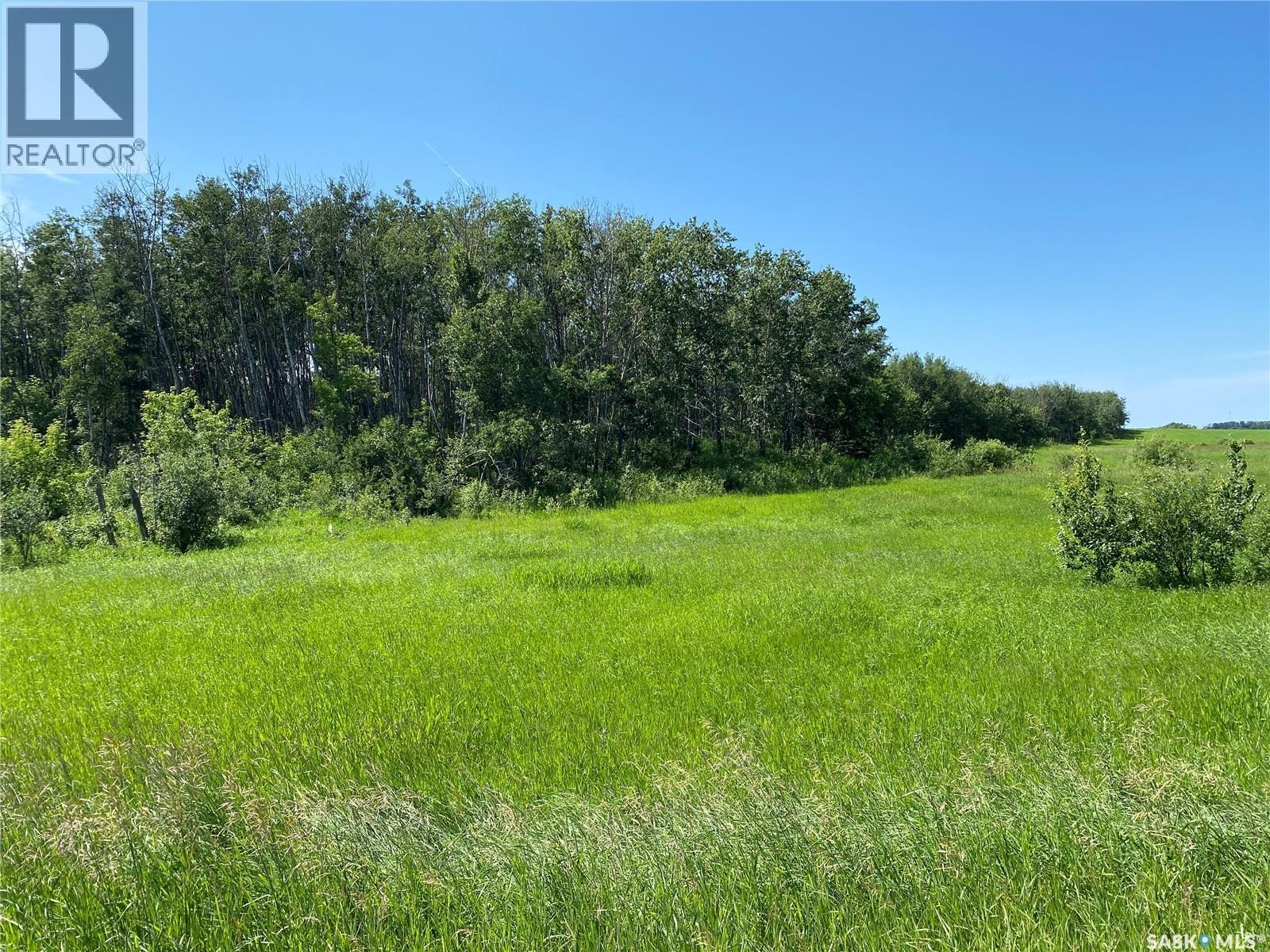 Leask Farm, Leask Rm No. 464, Saskatchewan  S0J 1M0 - Photo 10 - SK043034