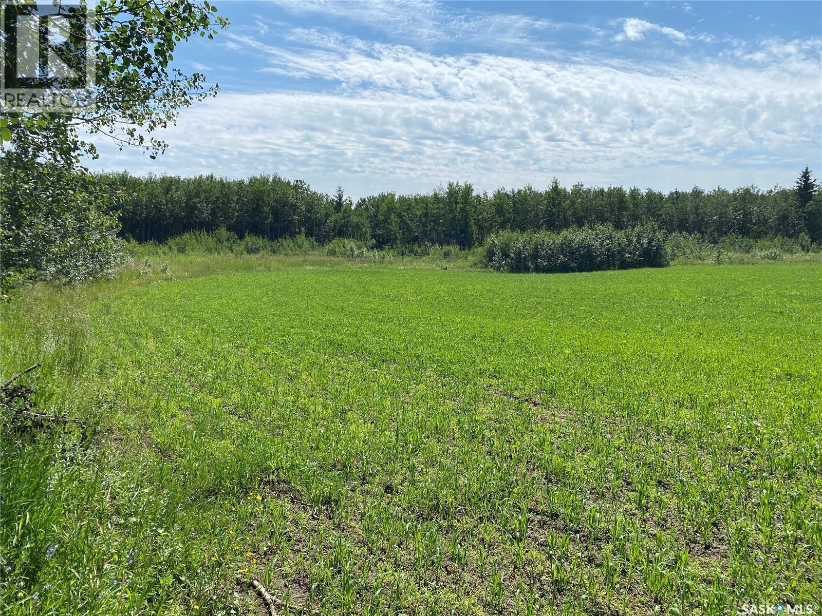 Leask Farm, Leask Rm No. 464, Saskatchewan  S0J 1M0 - Photo 3 - SK043034