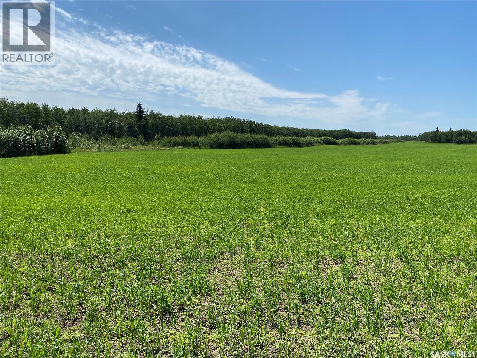 Leask Farm, Leask Rm No. 464, Saskatchewan  S0J 1M0 - Photo 4 - SK043034