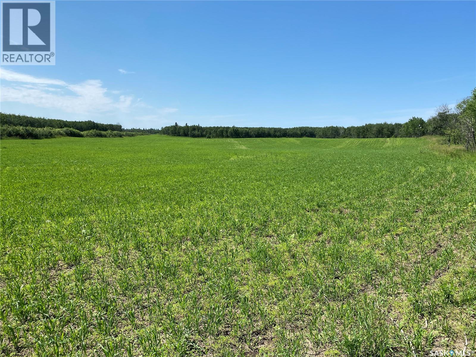 Leask Farm, Leask Rm No. 464, Saskatchewan  S0J 1M0 - Photo 5 - SK043034