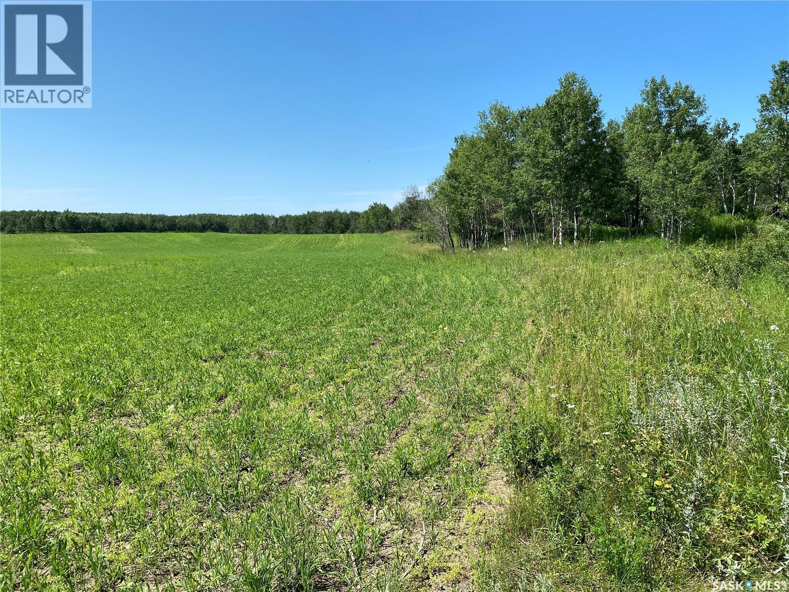 Leask Farm, Leask Rm No. 464, Saskatchewan  S0J 1M0 - Photo 6 - SK043034