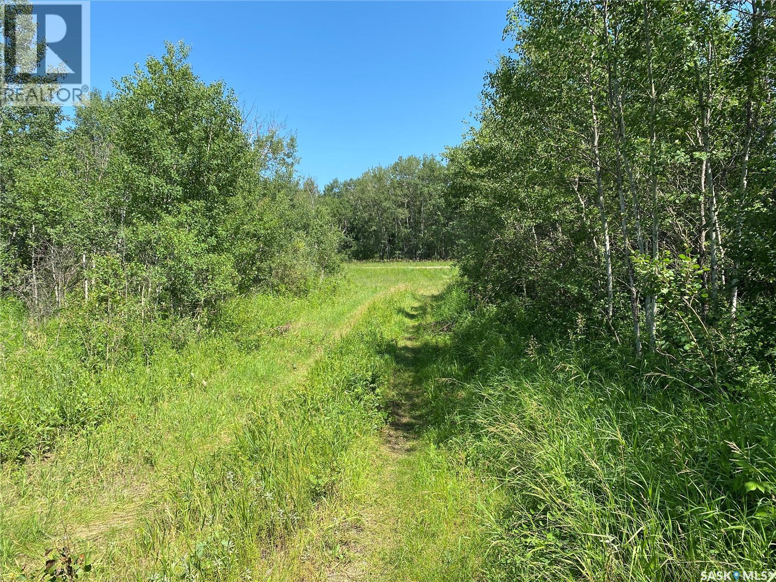 Leask Farm, Leask Rm No. 464, Saskatchewan  S0J 1M0 - Photo 7 - SK043034