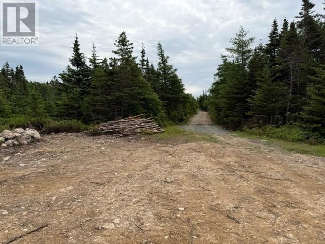 #49 Batts Hill Road, Heart's Delight, Newfoundland & Labrador